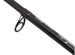 Canne Télescopique Berkley Cherrywood Spezi Pike 3.30m (50-100g)