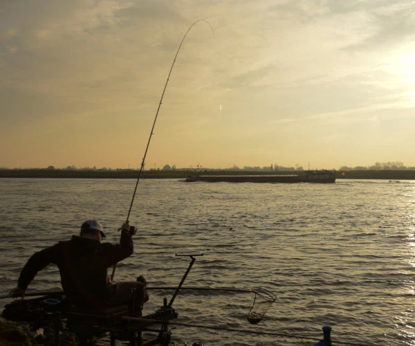 Cresta Identity Pro Tolerance Feeder 360 4 Cresta Identity Pro Tolerance Feeder 360 – Image 2