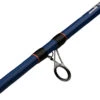 Mitchell Rod Riptide R 242 100/300 Dorade -Matériel de pêche 7a1dd4b52902f182